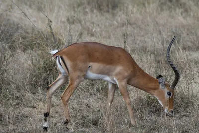 DSC_3688 (Large).JPG